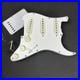 2024_Fender_Custom_Shop_Stratocaster_WW10_CG_H_W_Loaded_Pickguard_Hand_Wound_01_vewx