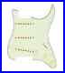 920D_Custom_Generation_Loaded_Pickguard_For_Strat_Guitar_Mint_Green_Aged_White_01_jlic