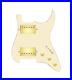 920D_Custom_Hipster_Heaven_HH_Loaded_Pickguard_for_Strat_With_Gold_Cool_Kids_01_sbeo