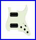 920D_Custom_Hipster_Heaven_HH_Loaded_Pickguard_for_Strat_With_Uncovered_Cool_01_baw