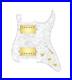 920D_Custom_Hot_And_Heavy_HH_Loaded_Pickguard_for_Strat_With_Gold_Roughneck_H_01_nfty