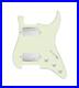 920D_Custom_Hot_And_Heavy_HH_Loaded_Pickguard_for_Strat_With_Nickel_Roughneck_01_qk