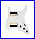 920D_Custom_Hot_And_Heavy_HH_Loaded_Pickguard_for_Strat_With_Uncovered_Roughn_01_ccm