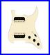 920D_Custom_Hot_And_Heavy_HH_Loaded_Pickguard_for_Strat_With_Uncovered_Roughn_01_ndnx