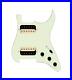920D_Custom_Hot_And_Heavy_HH_Loaded_Pickguard_for_Strat_With_Uncovered_Roughn_01_pgto