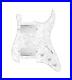 920D_Custom_Hushed_And_Humble_HH_Loaded_Pickguard_for_Strat_With_Nickel_Smoot_01_ado