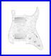 920D_Custom_Hushed_And_Humble_HH_Loaded_Pickguard_for_Strat_With_Nickel_Smoot_01_zef