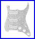 920D_Custom_Texas_Grit_Loaded_Pickguard_for_Strat_With_White_Pickups_and_Knob_01_gma