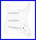 920D_Custom_Texas_Grit_Loaded_Pickguard_for_Strat_With_White_Pickups_and_Knob_01_ho