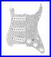 920D_Custom_Texas_Grit_Loaded_Pickguard_for_Strat_With_White_Pickups_and_Knob_01_man