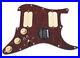 920D_Lace_Sensor_Gold_HH_Splittable_Dually_Loaded_Strat_Pickguard_TO_AW_01_wbg