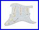 920D_Loaded_Strat_Pickguard_Klein_S_7_Eric_Johnson_Style_WP_AW_01_ir