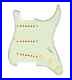920D_Texas_Growler_Loaded_Pickguard_5_Way_for_Stratocasters_Green_Mint_Cream_01_mkw