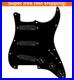 EMG_DG20_David_Gilmour_Prewired_Loaded_Pickguard_Set_Total_Eclipse_Black_New_01_ue