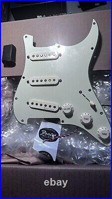 Fender Clapton Loaded Pick guard Open Box