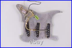 Fender Custom Shop 1960 Stratocaster RELIC Loaded Pickguard 30th Anniversary Fender Custom Shop 1960 Stratocaster RELIC Loaded Pickguard 30th Anniversary