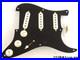 Fender_Custom_Shop_American_Custom_Stratocaster_NOS_LOADED_PICKGUARD_Strat_GR_01_sifo