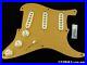 Fender_Custom_Shop_Classic_Player_Strat_LOADED_PICKGUARD_Texas_Special_Anodized_01_md