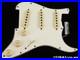 Fender_Custom_Shop_Strat_Pro_2025_Relic_LOADED_PICKGUARD_Strat_CG_GR_01_dnbs