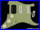 Fender_Custom_Shop_W25_Custom_Deluxe_HB_S_1_Strat_HSS_LOADED_PICKGUARD_GR_01_ks