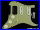 Fender_Custom_Shop_W25_Custom_Deluxe_HB_S_1_Strat_HSS_LOADED_PICKGUARD_GR_01_xae