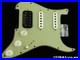 Fender_Custom_Shop_W25_Custom_Deluxe_Relic_HB_S1_Strat_HSS_LOADED_PICKGUARD_SGB_01_te
