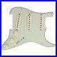 Fender_Deluxe_Drive_Loaded_Strat_Pickguard_Aged_Cream_on_Mint_Green_OrAnyColor_01_bxii