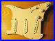 Fender_Deluxe_Drive_Loaded_Strat_Pickguard_All_Mint_Green_OrAnyColor_USA_01_gu