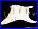 Fender_Jimi_Hendrix_Strat_LOADED_PICKGUARD_Stratocaster_USA_65_Reverse_Bridge_01_gy