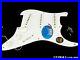 Fender_Jimmie_Vaughan_Tex_Mex_Strat_LOADED_PICKGUARD_Stratocaster_Parts_01_wwr