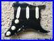 Fender_Player_Plus_Noiseless_Stratocaster_Pickups_Loaded_SSS_Black_Pickguard_01_qiac