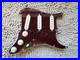 Fender_Player_Plus_Noiseless_Stratocaster_Pickups_Loaded_Tortoiseshell_Pickguard_01_fsoa