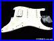 Fender_Player_Strat_HSS_LOADED_PICKGUARD_PICKUPS_Screws_Stratocaster_Alnico_01_ry