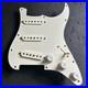 Fender_Player_Stratocaster_Pups_Loaded_Pickguard_All_Parts_Pots_Switch_Guard_01_kvgs
