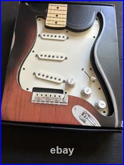 Fender Player Stratocaster Pups Loaded Pickguard- All Parts Pots/Switch/Guard