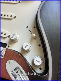 Fender Player Stratocaster Pups Loaded Pickguard- All Parts Pots/Switch/Guard