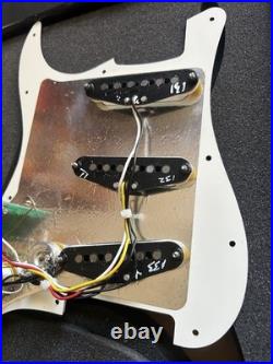 Fender Player Stratocaster Pups Loaded Pickguard- All Parts Pots/Switch/Guard