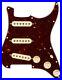 Fender_Pre_Wired_Loaded_Strat_Pickguard_Vintage_Noiseless_SSS_Tortoise_Shell_01_hiw