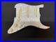 Fender_Pre_wired_Stratocaster_Loaded_Pickguard_Lace_Holy_Grail_Pickups_01_gj