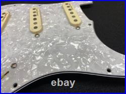 Fender Pre-wired Stratocaster Loaded Pickguard Lace Holy Grail Pickups