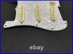 Fender Pre-wired Stratocaster Loaded Pickguard Lace Holy Grail Pickups