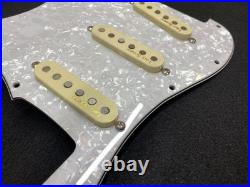 Fender Pre-wired Stratocaster Loaded Pickguard Lace Holy Grail Pickups