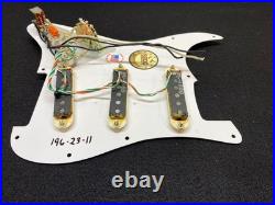 Fender Pre-wired Stratocaster Loaded Pickguard Lace Holy Grail Pickups