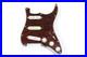 Fender_Squier_Standard_LOADED_PICKGUARD_Tortoise_Shell_3_Ply_SSS_Stratocaster_01_vbgx