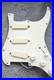 Fender_Strat_Plus_Loaded_Pickguard_01_zdv