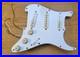 Fender_Stratocaster_Loaded_Pickguard_Player_Plus_Noiseless_01_ql