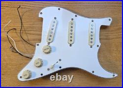 Fender Stratocaster Loaded Pickguard Player Plus Noiseless