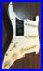 Fender_Stratocaster_Loaded_Pickguard_Player_Plus_Noiseless_Push_Pull_NWT_NEW_01_sa