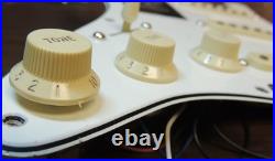 Fender Stratocaster Loaded Pickguard Player Plus Noiseless Push/Pull NWT NEW