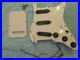Fender_Stratocaster_SSS_Seymour_Duncan_Loaded_Pickguard_Excellent_01_tbh
